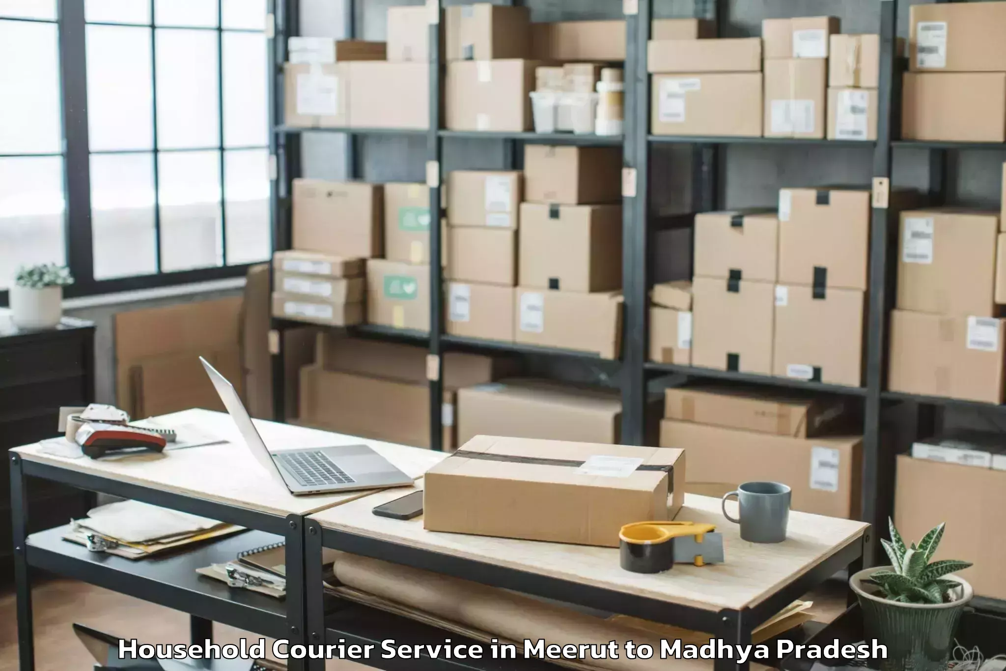 Quality Meerut to Madhya Pradesh Household Courier